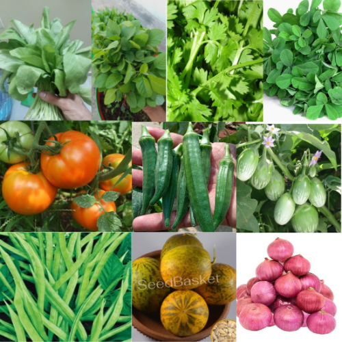 suttindseeds