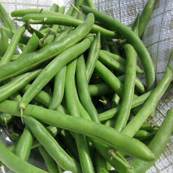 Wholesale
