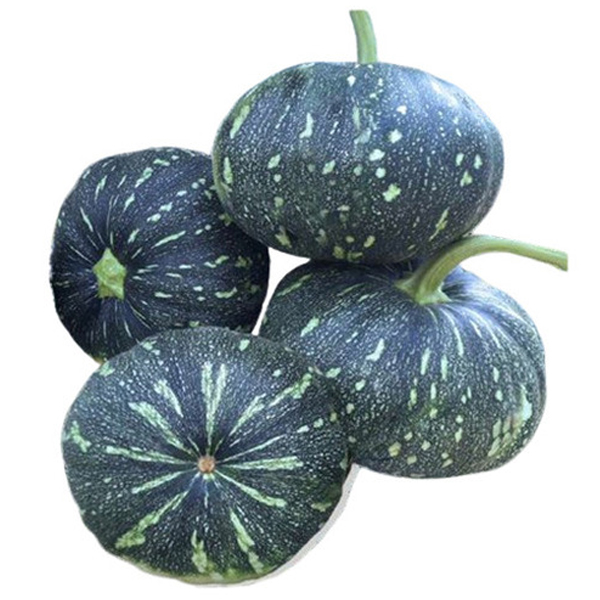 Wholesale