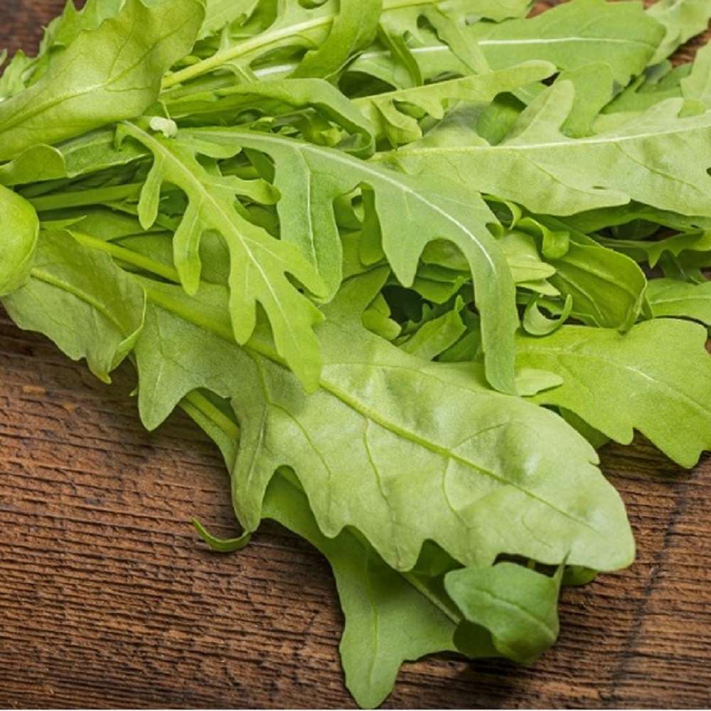 ROCKET SALAD