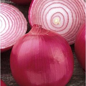 ONION RED CREOLE (Pyaaz)