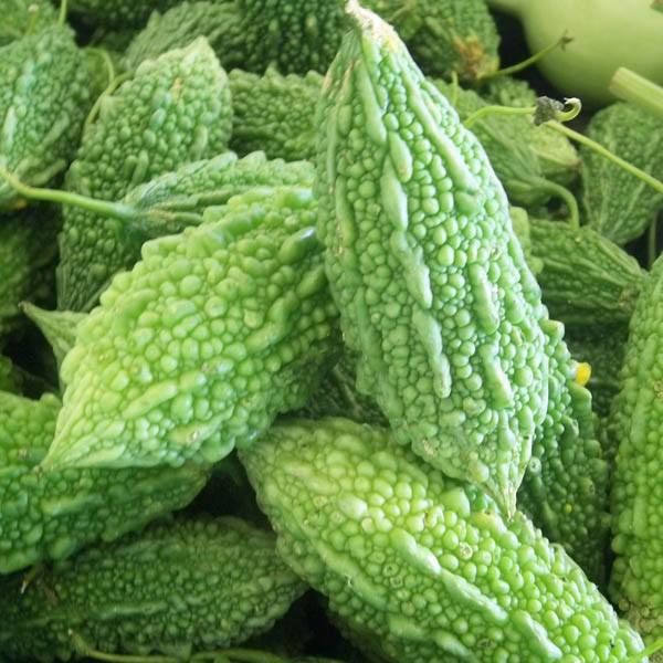 BITTERGOURD F-1 ANMOL (Karela)
