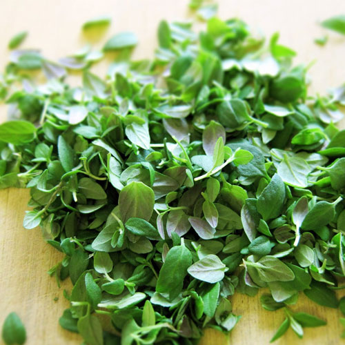 THYME