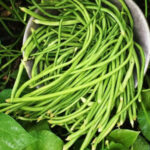 BEANS COWPEA DIVYA (Phaliyaan)