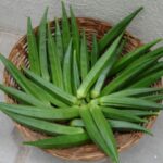 BHINDI ARKA ANAMIKA (Bhindi)