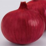 ONION F-1 CASTELLO (Pyaaz)