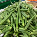 BHINDI F-1 680 (Bhindi)