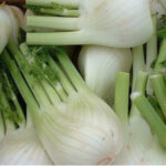 FENNEL