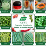Hybrid Vegetables Seeds (Pack of 10)