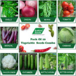 OP Vegetable Seeds (Pack of 10)
