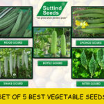 OP Vegetable Seeds (Pack of 5)