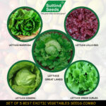Exotic Seeds (Pack of 5)