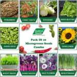 Microgreens Option 2 Seeds (Pack of 10)