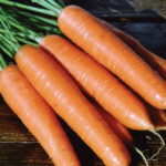 CARROT F-1 NANTECO (Gaajar)