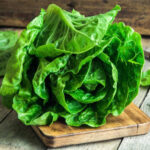 LETTUCE MARIPOSA