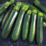 ZUCCHINI DARK GREEN