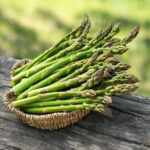 Asparagus Large Leaf