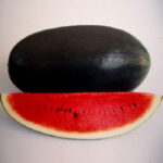 Watermelon-20011 (Icebox)